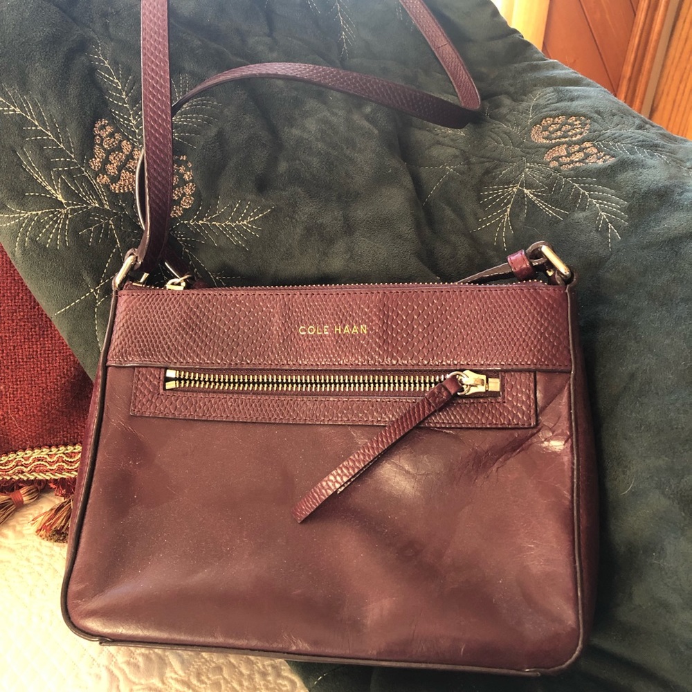 Lightly used Cole Haan crossbody